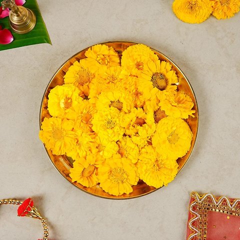 Yellow Chrysanthemum Flowers (Guldaudi)